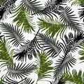 Trend summer seamless pattern with tropical green black plants on a white background. Royalty Free Stock Photo